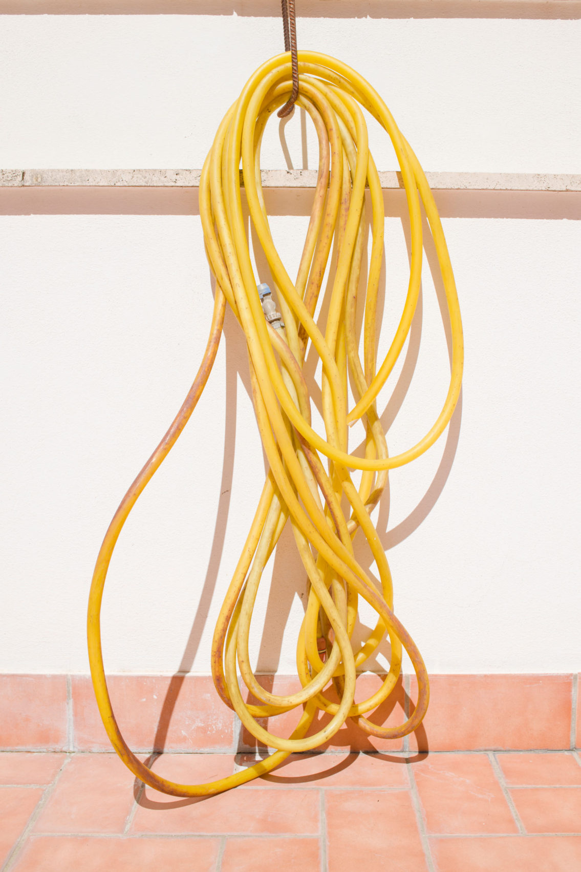 photograph of a neatly rolled yellow watering hose on a sunny day