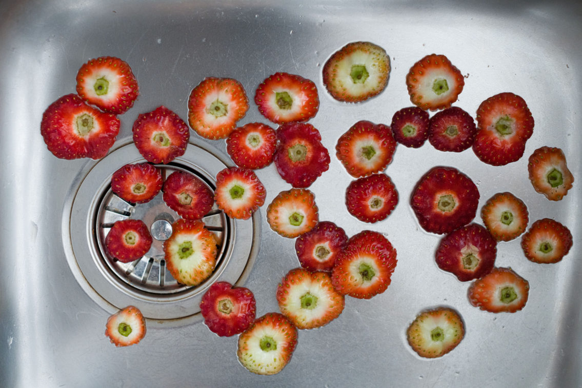 printed photograph of the remains of strawberries prepared to be eaten in a steel sink